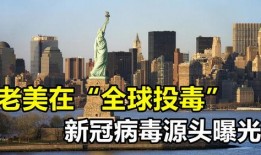 新冠源头爆料最新,最新爆料揭示病毒起源之谜